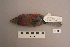  ( - UWBM 51847)  @13 [ ] Copyright (2008) Unspecified Burke Museum of Natural History and Culture