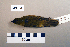  ( - UWBM 49604)  @13 [ ] Copyright (2008) Unspecified Burke Museum of Natural History and Culture