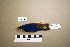  ( - UWBM 59709)  @14 [ ] Copyright (2008) Unspecified Burke Museum of Natural History and Culture