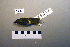  ( - UWBM 59689)  @14 [ ] Copyright (2008) Unspecified Burke Museum of Natural History and Culture