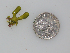  ( - BDA0302)  @11 [ ] Unspecified (default): All Rights Reserved  Unspecified Unspecified