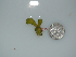  ( - BDA0392)  @11 [ ] Unspecified (default): All Rights Reserved  Unspecified Unspecified