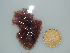  ( - BDA0179)  @11 [ ] Unspecified (default): All Rights Reserved  Unspecified Unspecified