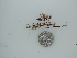  ( - BDA0301)  @12 [ ] Unspecified (default): All Rights Reserved  Unspecified Unspecified