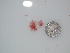  ( - BDA0381)  @12 [ ] Unspecified (default): All Rights Reserved  Unspecified Unspecified