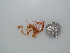  ( - BDA0440)  @11 [ ] Unspecified (default): All Rights Reserved  Unspecified Unspecified