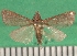  ( - KLM Lep 09654)  @12 [ ] CreativeCommons - Attribution Non-Commercial Share-Alike (2017) Christian Wieser Landesmuseum Kaernten