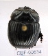  ( - CBF-Scarab-000634)  @11 [ ] No Rights Reserved  Unspecified Unspecified