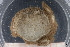  ( - BETRA_Workshop_7)  @11 [ ] Creative Commons BY NC SA (2020) University of Bergen Natural History Collections
