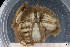  ( - BETRA_Workshop_7)  @11 [ ] Creative Commons BY NC SA (2020) University of Bergen Natural History Collections