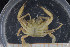  ( - BETRA_Workshop_11)  @11 [ ] Creative Commons BY NC SA (2020) University of Bergen Natural History Collections