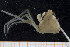  ( - BETRA_Workshop_58)  @11 [ ] Creative Commons BY NC SA (2020) University of Bergen Natural History Collections