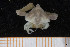  ( - BETRA_Workshop_36)  @11 [ ] Creative Commons BY NC SA (2020) University of Bergen Natural History Collections