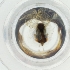  ( - EWTA_001_E9)  @11 [ ] by  Genome Research Ltd as Wellcome Sanger Institute Genome Research Limited operating as Wellcome Sanger Institute