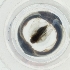  ( - EWTA_001_G9)  @11 [ ] by  Genome Research Ltd as Wellcome Sanger Institute Genome Research Limited operating as Wellcome Sanger Institute