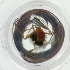  ( - EWTA_002_H2)  @11 [ ] by  Genome Research Ltd as Wellcome Sanger Institute Genome Research Limited operating as Wellcome Sanger Institute