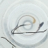  ( - EWTA_003_D6)  @11 [ ] by  Genome Research Ltd as Wellcome Sanger Institute Genome Research Limited operating as Wellcome Sanger Institute