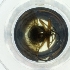  ( - EWTA_003_E9)  @11 [ ] by  Genome Research Ltd as Wellcome Sanger Institute Genome Research Limited operating as Wellcome Sanger Institute