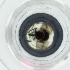  ( - EWTA_003_G10)  @11 [ ] by  Genome Research Ltd as Wellcome Sanger Institute Genome Research Limited operating as Wellcome Sanger Institute
