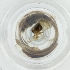  ( - EWTA_006_D1)  @11 [ ] by  Genome Research Ltd as Wellcome Sanger Institute Genome Research Limited operating as Wellcome Sanger Institute