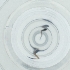  ( - EWTA_007_D5)  @11 [ ] by  Genome Research Ltd as Wellcome Sanger Institute Genome Research Limited operating as Wellcome Sanger Institute