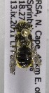  ( - CCDB-15277 A12)  @12 [ ] CreativeCommons - Attribution Non-Commercial Share-Alike (2011) Packer Collection York University York University