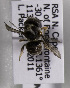  ( - CCDB-15278 A07)  @13 [ ] CreativeCommons - Attribution Non-Commercial Share-Alike (2011) Packer Collection York University York University
