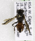  ( - CCDB-15280 E08)  @12 [ ] CreativeCommons - Attribution Non-Commercial Share-Alike (2011) Packer Collection York University York University