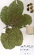  ( - OM3567)  @11 [ ] Unspecified (default): All Rights Reserved  Unspecified Unspecified