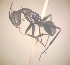  (Camponotus MG075 - CASENT0829329-D01)  @11 [ ] CreativeCommons  Attribution Non-Commercial Share-Alike (2023) CAS California Academy of Sciences