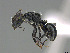  ( - CASENT0840821-D01)  @11 [ ] CreativeCommons  Attribution Non-Commercial Share-Alike (2023) Michele Esposito California Academy of Sciences