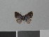  ( - LCB0061)  @11 [ ] Copyright (2011) Christian Brevignon Research collection of L. and C. Brevignon