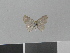  ( - LCB0061)  @11 [ ] Copyright (2011) Christian Brevignon Research collection of L. and C. Brevignon