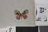  ( - LCB1361)  @11 [ ] CC-By (2025) Christian Brévignon Research collection of Christian Brévignon