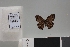  ( - LCB749)  @11 [ ] copyright (2022) Christian Brévignon Research collection of Christian Brévignon