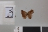  ( - LCB763)  @11 [ ] copyright (2022) Christian Brévignon Research collection of Christian Brévignon