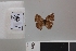  ( - LCB764)  @11 [ ] copyright (2022) Christian Brévignon Research collection of Christian Brévignon