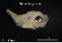  ( - Dpu_TEJ4230)  @11 [ ] Unspecified (default): All Rights Reserved (2023) Invemar Invemar-BEM