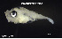  ( - Dpu_TEJ4231)  @11 [ ] Unspecified (default): All Rights Reserved (2023) Invemar Invemar-BEM