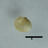  ( - BFMN_NK283_sjap4)  @11 [ ] Copyright (2017) Unspecified Specimen depository of the Graduate School of Natural Sciences, Nagoya City University
