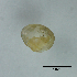  ( - BFMN_NK285_sjap6)  @11 [ ] Copyright (2017) Unspecified Specimen depository of the Graduate School of Natural Sciences, Nagoya City University