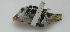  ( - DHS0672)  @11 [ ] Copyright (2006) D. Hinsinger/Santo2006/MNHN MNHN