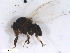  ( - BIOUG01780-A08)  @13 [ ] CreativeCommons - Attribution (2012) CBG Photography Group Centre for Biodiversity Genomics