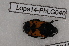  ( - Lope14-PhLG040)  @12 [ ] CreativeCommons - Attribution Non-Commercial Share-Alike (2014) ECODIV Univ Rouen