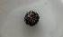  (Psammechinus microtuberculatus - BGE_00072_A12)  @11 [ ] CreativeCommons  Attribution by Chryssanthi Antoniadou (2023) Chryssanthi Antoniadou_LMTAD Aristotle University of Thessaloniki