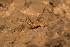  ( - BGE_00083_B02)  @11 [ ] Copyright © (2025) Konstantinos Kalaentzis Aristotle University of Thessaloniki