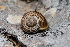  ( - BGE_00083_C02)  @11 [ ] Copyright © (2025) Konstantinos Kalaentzis Aristotle University of Thessaloniki