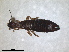  ( - RMNH.INS.1531414)  @11 [ ] by-nc-sa (2023) Unspecified Naturalis Biodiversity Centre