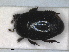  ( - RMNH.INS.1531830)  @11 [ ] by-nc-sa (2024) Unspecified Naturalis Biodiversity Centre