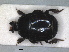  ( - RMNH.INS.1531835)  @11 [ ] by-nc-sa (2024) Unspecified Naturalis Biodiversity Centre
